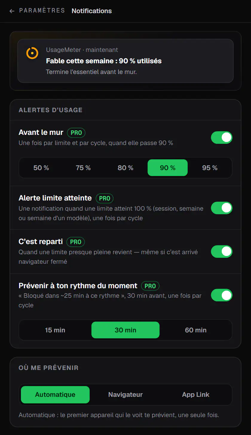 UsageMeter Pro notification settings: an alert before the wall at 90%, the limit-reached alert, a notice when a limit is back, a heads-up at your current pace, and where to notify you (sample data)